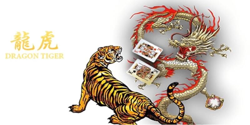 Những kinh nghiệm chinh chiến rồng hổ tại OK9 hiệu quả nhất